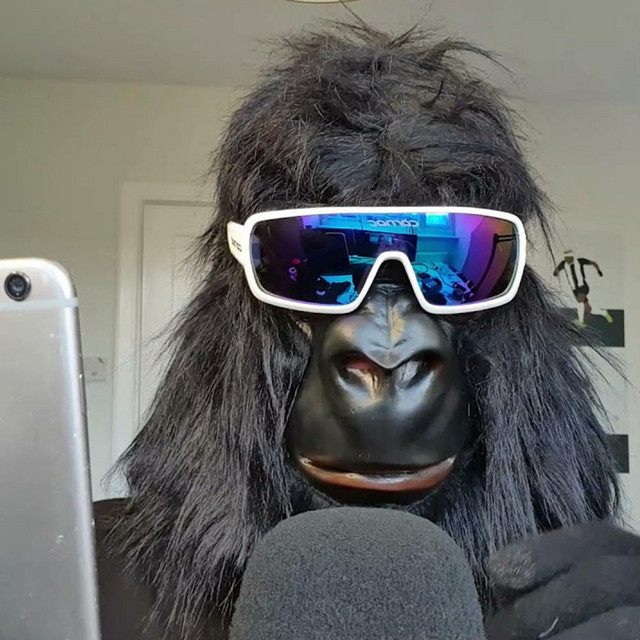 ASMR como un Gorila | ASMR as a Gorilla cover art