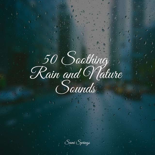 50 Soothing Rain and Nature Sounds - Album by Deep Sleep Music Delta ...