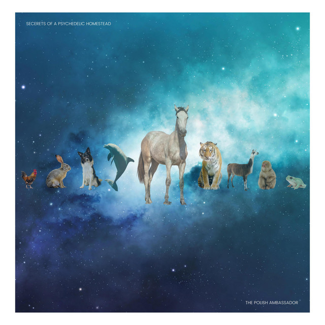 Secrets of a Psychedelic Homestead cover art