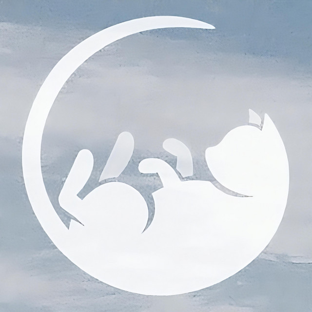 Lost. cover art