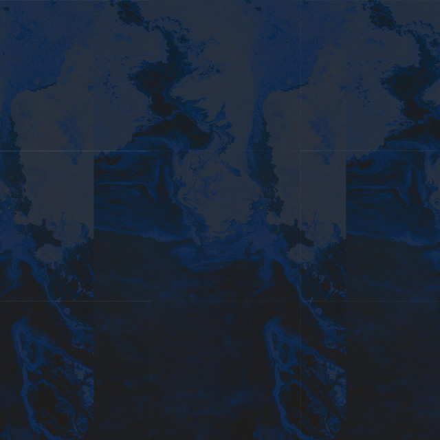 Loose cover art