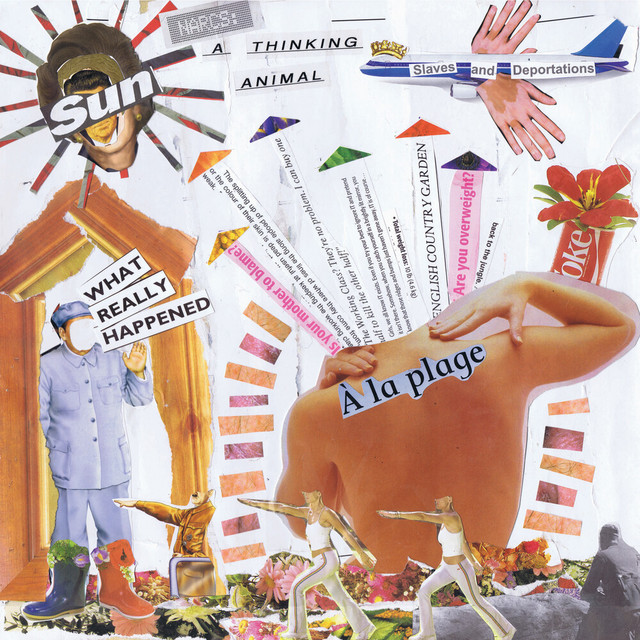 A Thinking Animal cover art