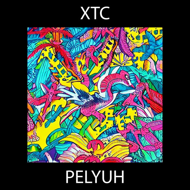 Обкладинка: Xtc — PELYUH
