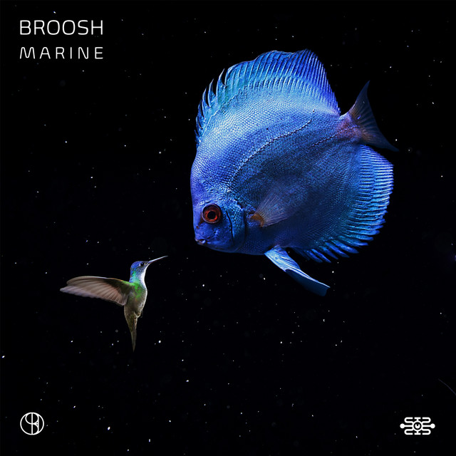 Marine cover art
