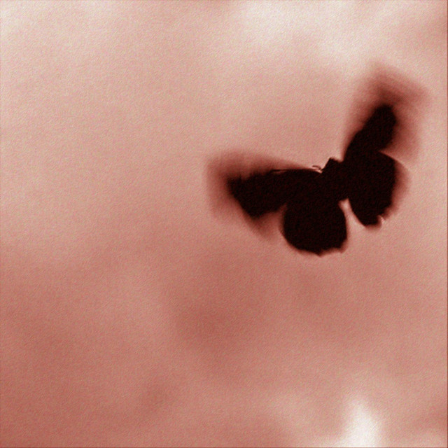 Clouded cover art