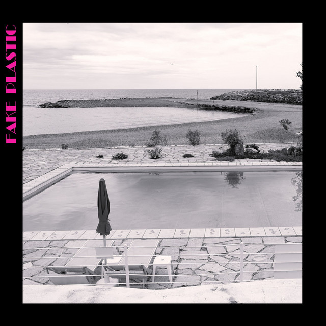 Fake Plastic cover art