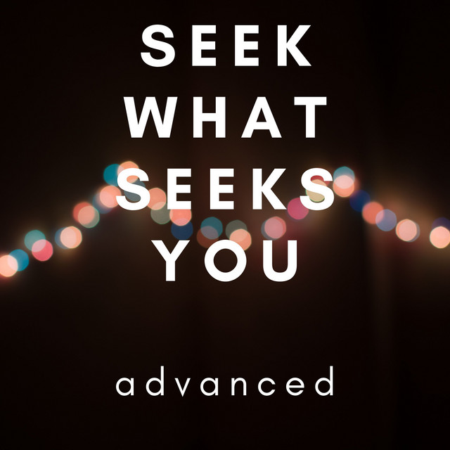 Seek What Seeks You cover art