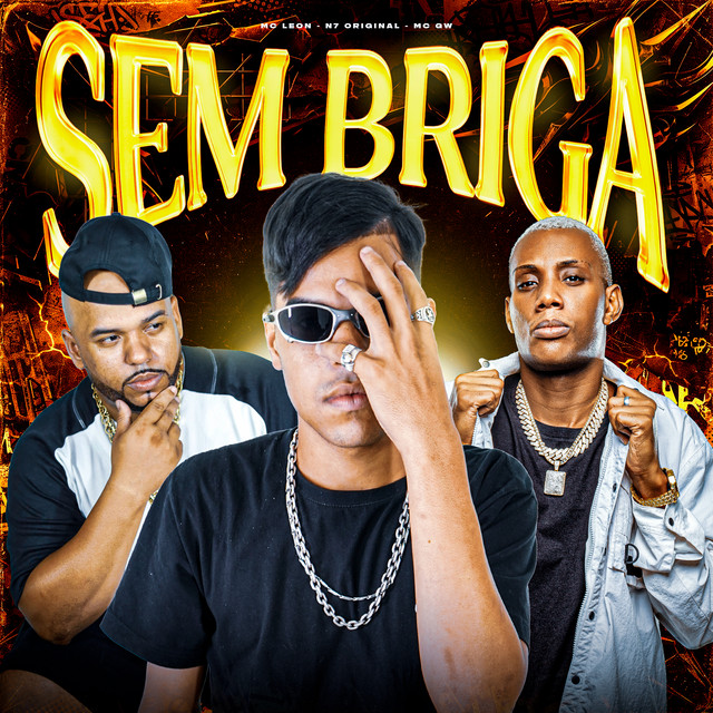 Sem Briga album image