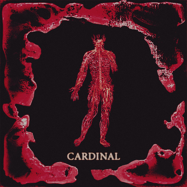 Cardinal cover art