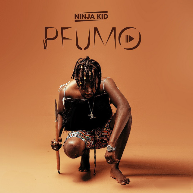 Pfumo cover art