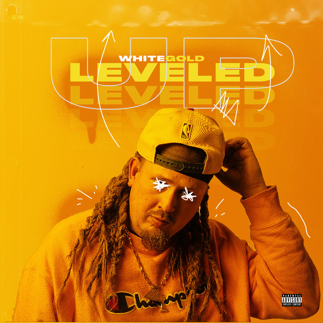 Leveled Up cover art