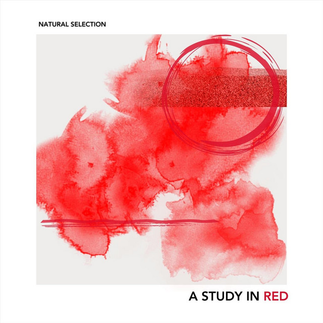 Minnows cover art