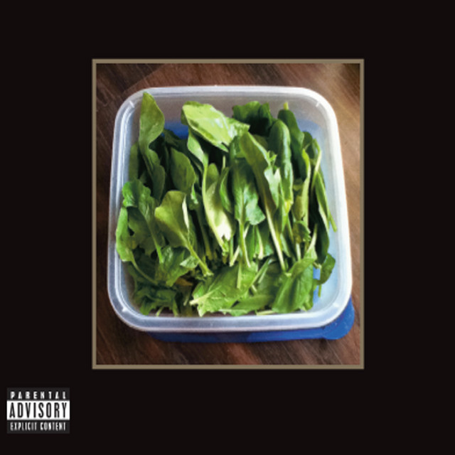 Misfit II Society cover art