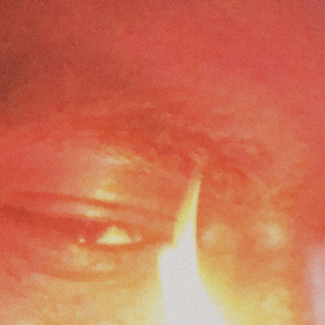 slwbrns cover art