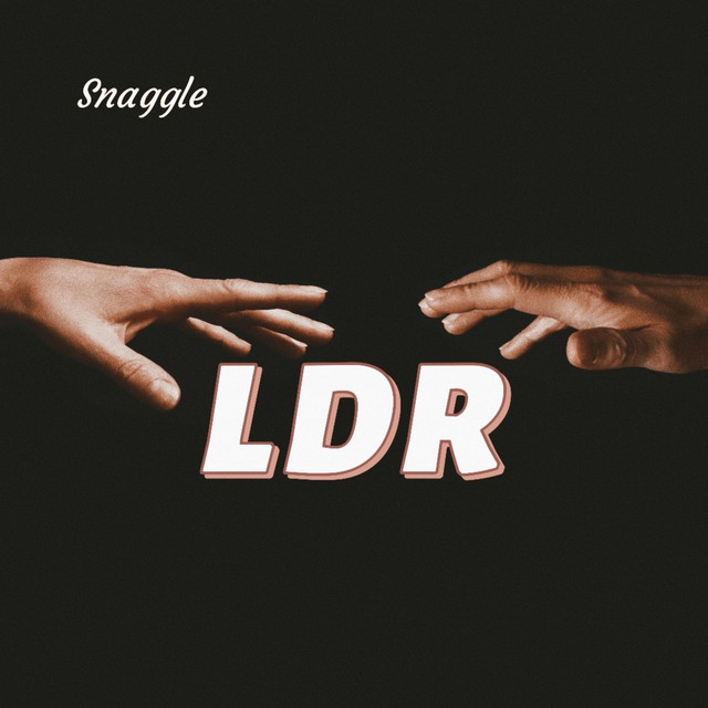 Integrity - song and lyrics by Snaggle | Spotify