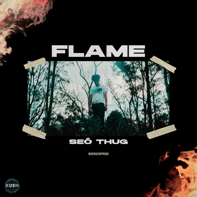 Flame cover art