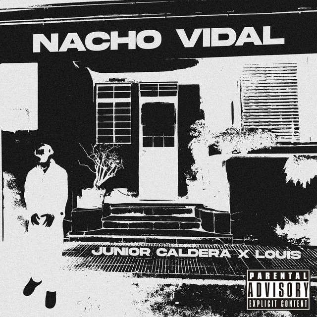 NACHO VIDAL