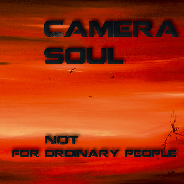 Not for Ordinary People cover art