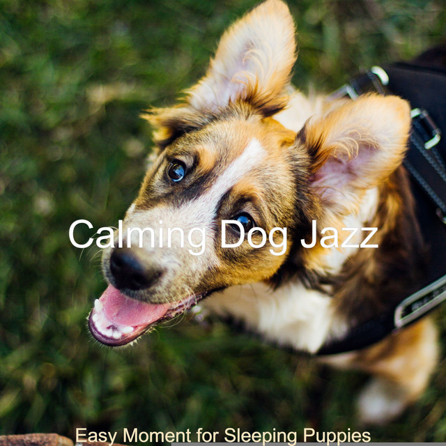 Easy Moment for Sleeping Puppies cover art