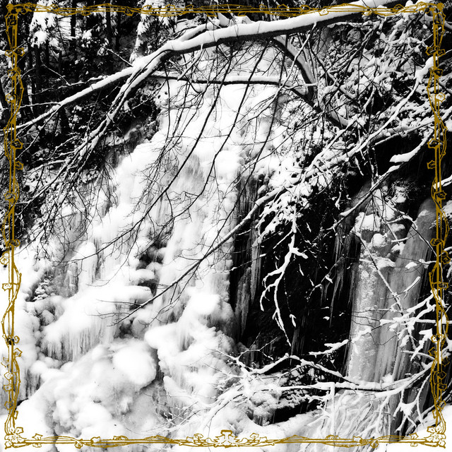 The Forest Kingdom cover art