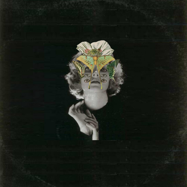The Beauty Complex cover art