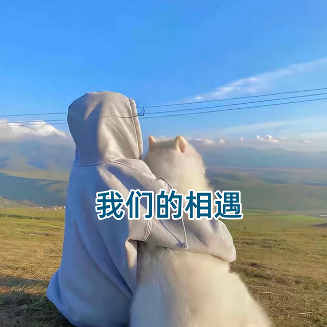 花落组合