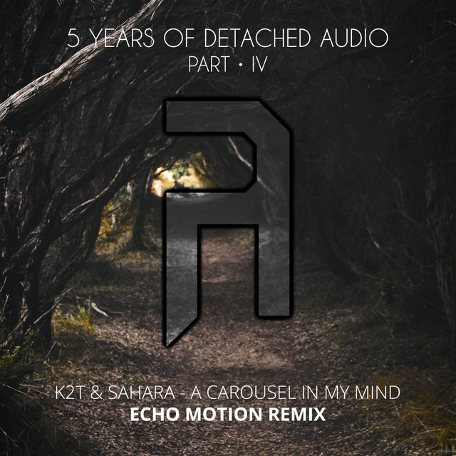 A Carousel In My Mind - Echo Motion Remix artwork