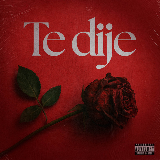 TE DIJE cover art