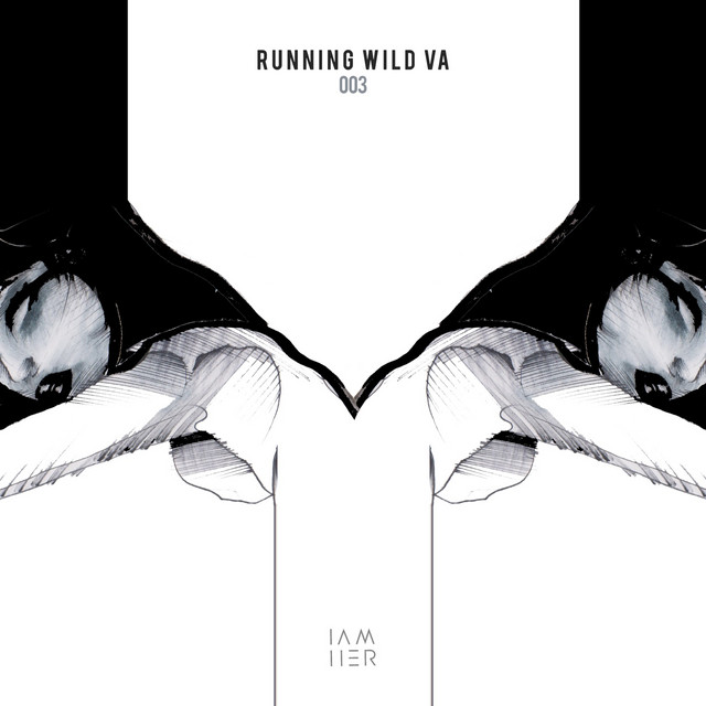 Casuale Power album art