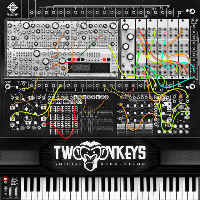 Voltage Regulation cover
