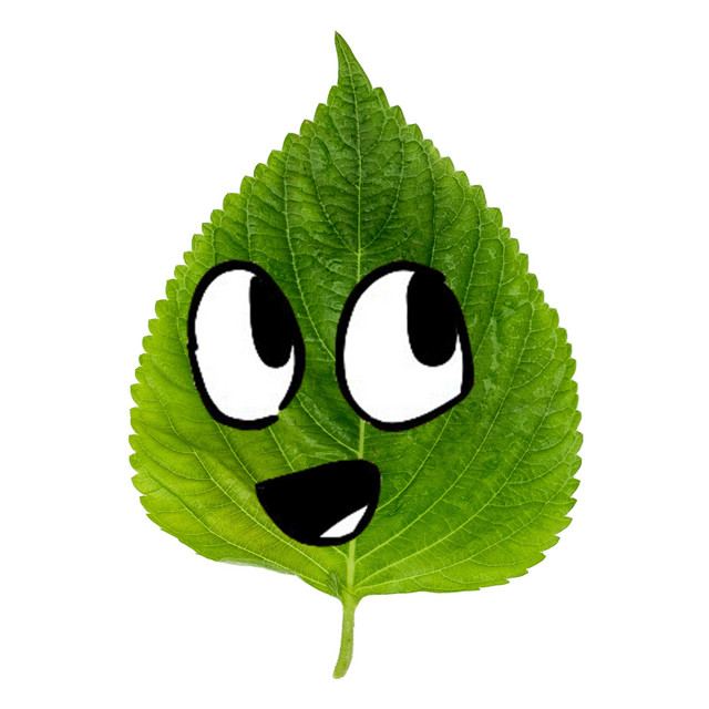 Cover art: I eat perilla leaves with every meal — HappyPizzaBread