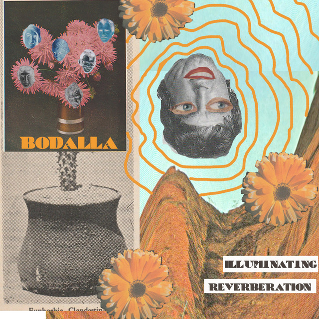 Illuminating Reverberation cover art