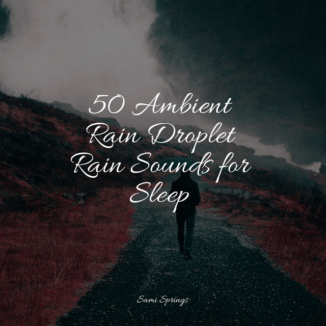 50 Ambient Rain Droplet Rain Sounds for Sleep - Album by Meditation ...