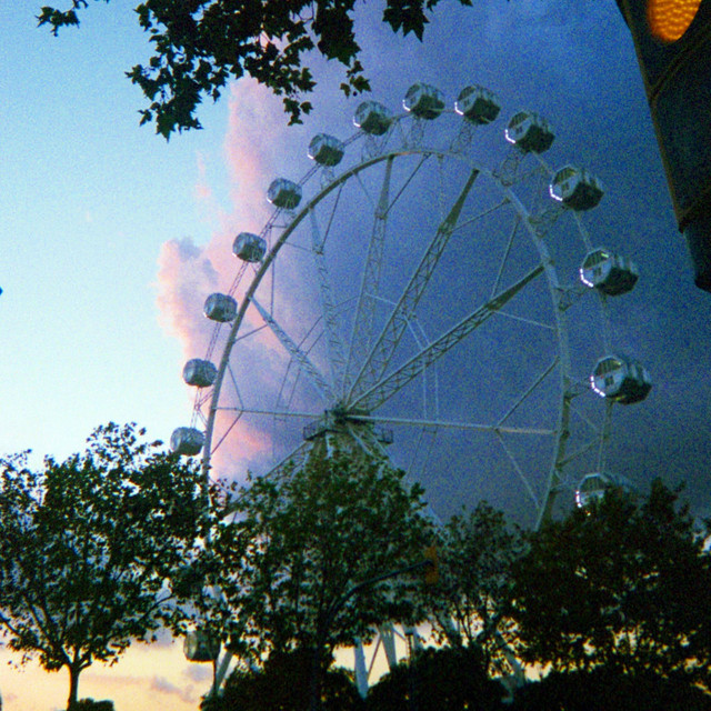 no rain, no flowers cover art