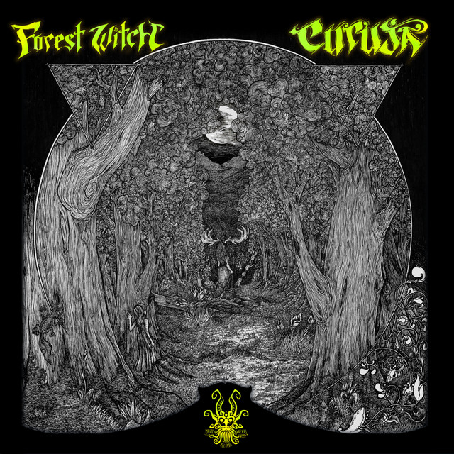 Forest Witch cover art