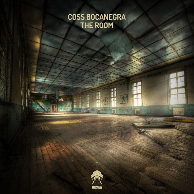 The Room cover art