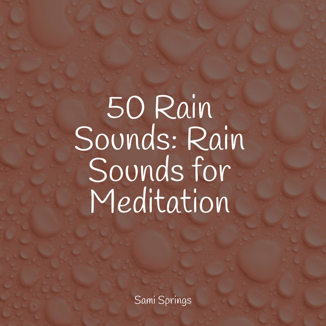 50 Rain Sounds: Rain Sounds for Meditation - Album by Reiki Music | Spotify