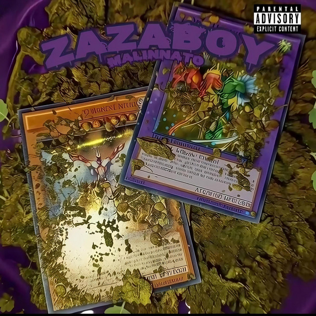 ZAZABOY cover