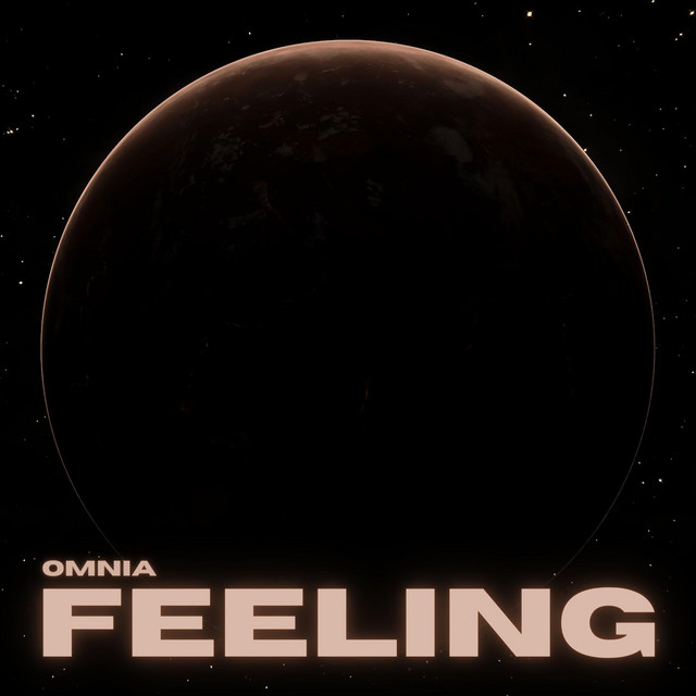 Обкладинка Omnia — Feeling