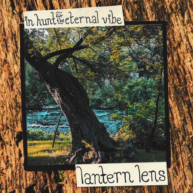 In Hunt for the Eternal Vibe cover art