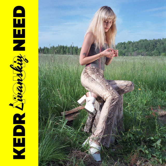 Sky Kisses (на танцполе) cover art