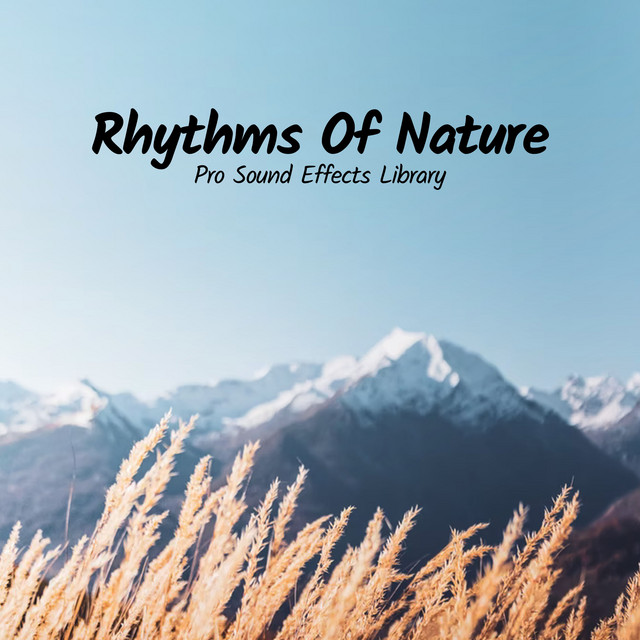 Rain Enlightenment – música e letra de Pro Sound Effects Library | Spotify