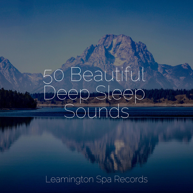 50 Beautiful Deep Sleep Sounds - Album by Nature Sound Collection | Spotify