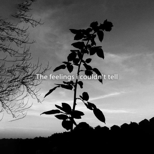 Can't Help Falling In Love