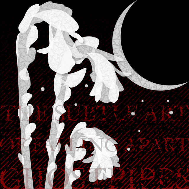 Knife cover art