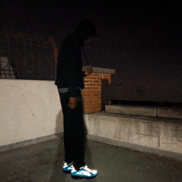 Silk cover art