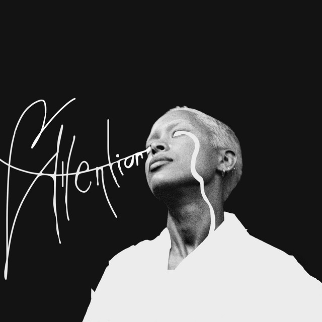 Attention cover