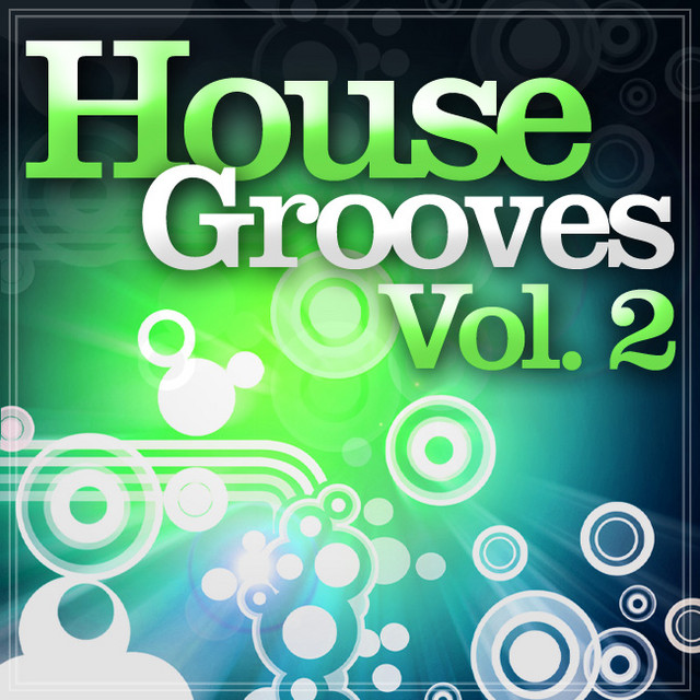米12” Various House Grooves Volume Two HG002 House Groove Records /00250 House Grooves Volume Two – Vinyl (12