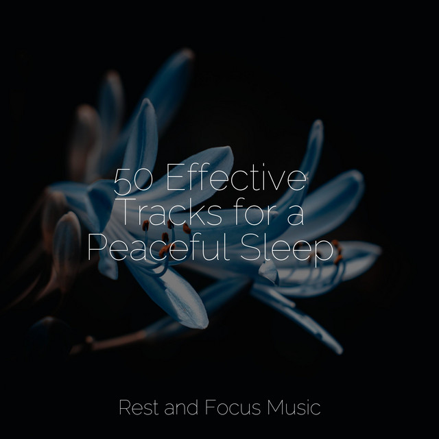 50 Effective Tracks for a Peaceful Sleep - Album by Zarobi | Spotify