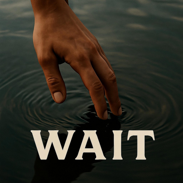 WAIT cover art